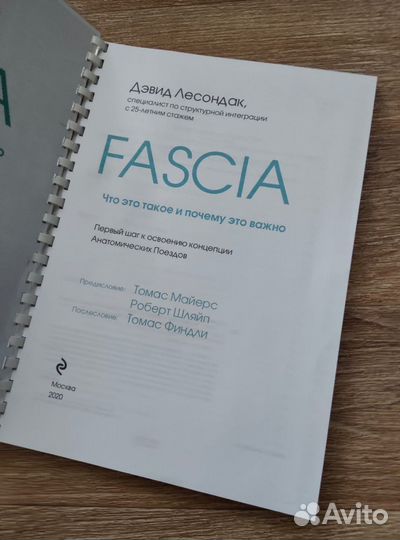 Fascia Дэвид Лесондак