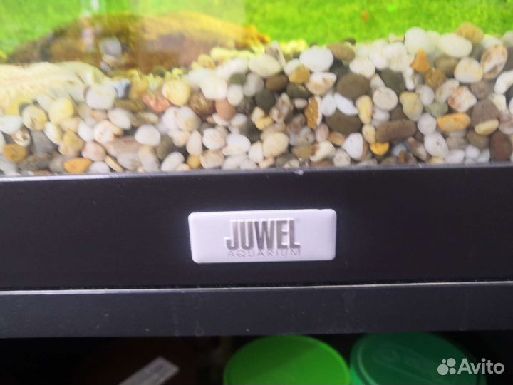 Аквариум с тумбой juwel 200л