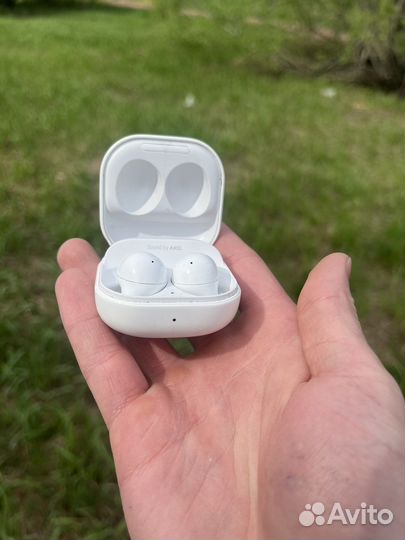 Samsung galaxy buds 2