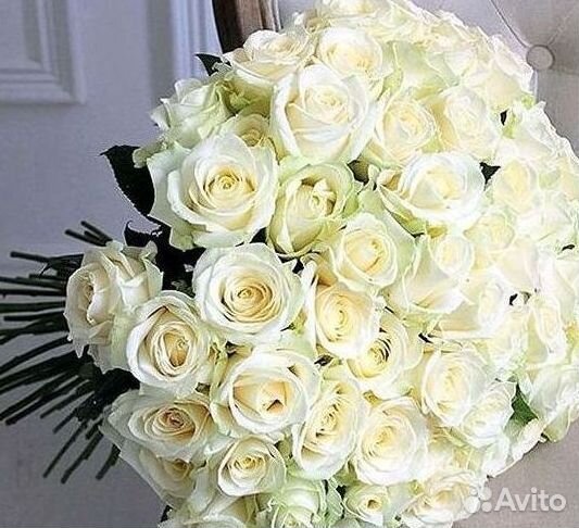 Высокие розы