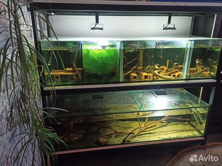 Аквариум