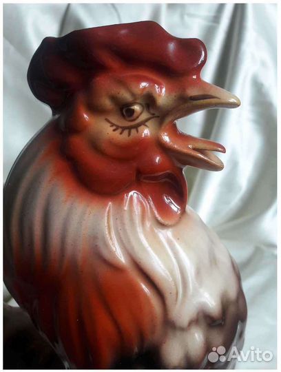 Графин петух