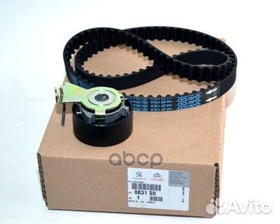 Ремкомплект грм 0831S0 Peugeot-Citroen