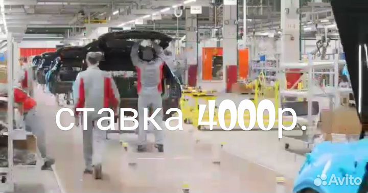 Разнорабочие/ завод havel/Тульская область