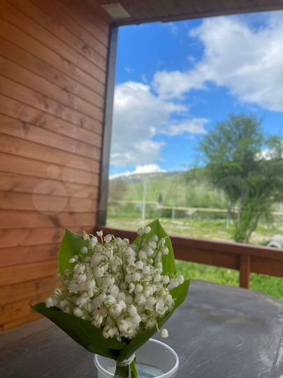 Дом 48 м² на участке 17 сот.