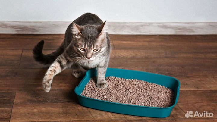 Древесный кошачий наполнитель(пеллеты )