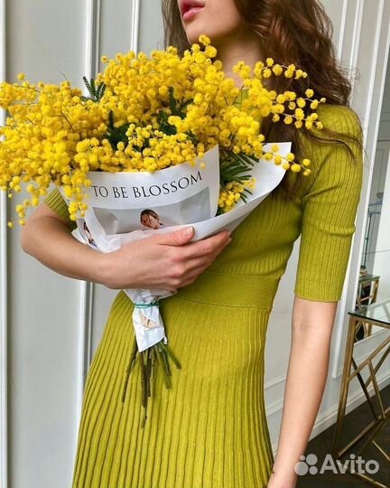 Мимоза предзаказ рузаевка