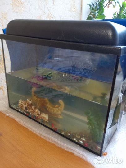 Аквариум