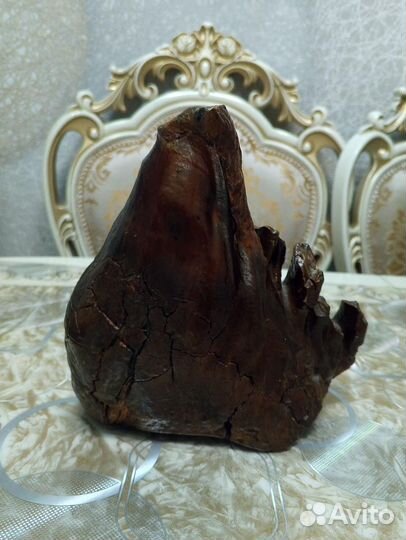 Настоящий зуб мамонта