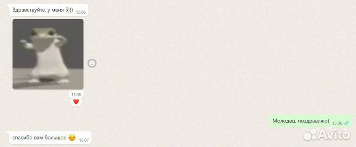 Репетитор по информатике, физике и математике