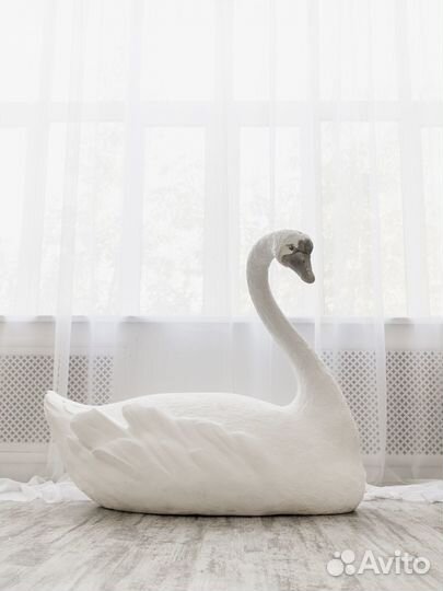 Аренда фотостудии под мероприятия