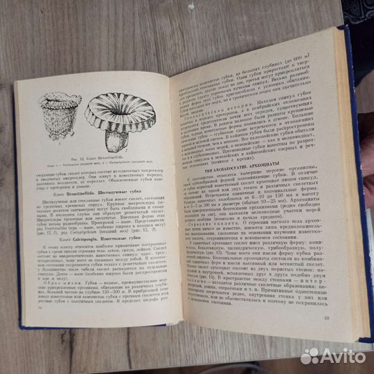 Г. И. Немцов. Краткий курс палеонтологии. 1978 г