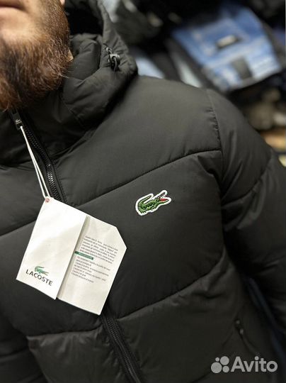 Зимние куртки Lacoste