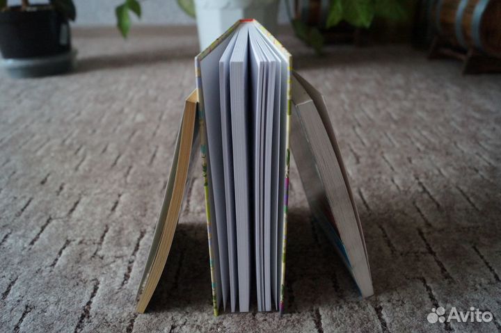 «Собор Парижской Богоматери» на французском языке