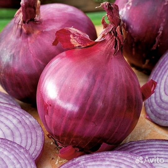 Помидоры, чеснок, лук красный,семена укропа