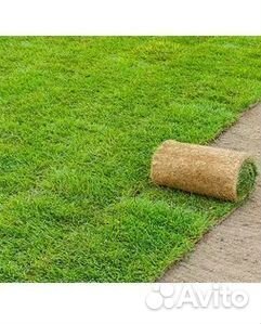 Гидропосев