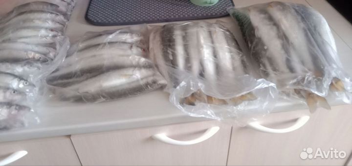 Свежемороженная камчатская корюшка