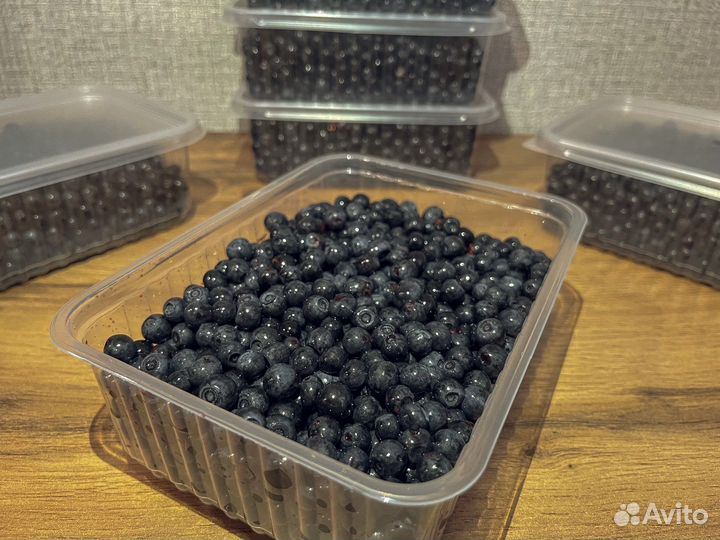 Черника свежая