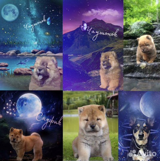 Делаю Обработки бесплатно