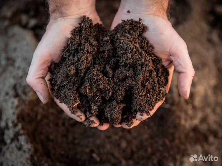 Чернозем / Грунт плодородный
