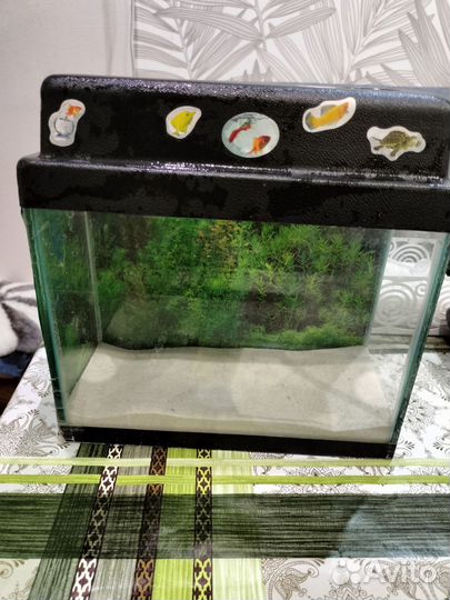 Аквариум 5л
