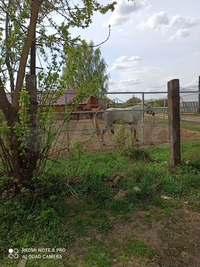 Участок 6,63 га (СНТ, ДНП)