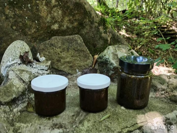 Мёд от глистных инвазий