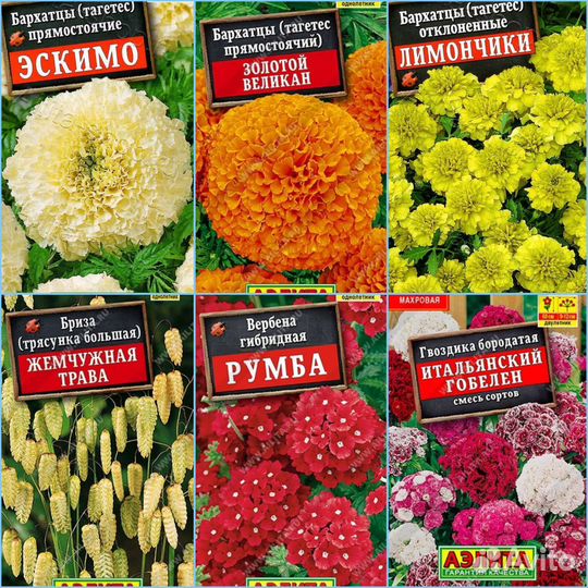 Семена однолетних и многолетних цветов