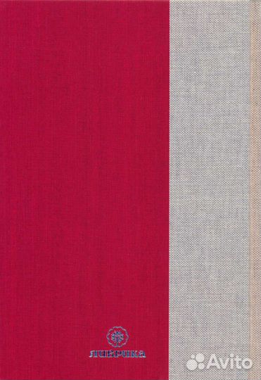 Виктор Бакин 