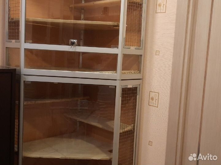 Витрина для шиншилл бу
