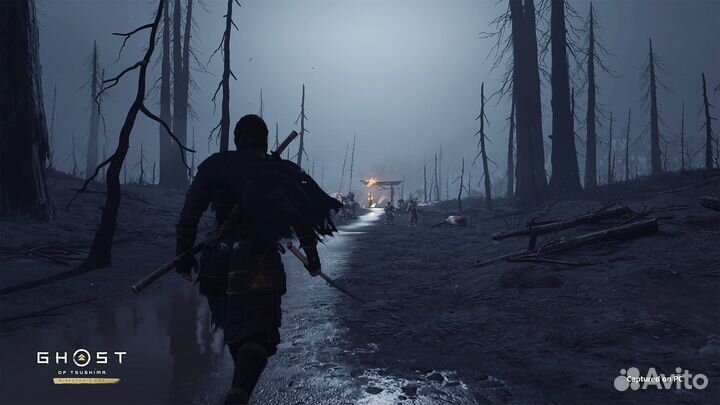 Ghost of Tsushima Director's Cut (Steam)