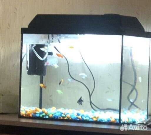 Аквариум
