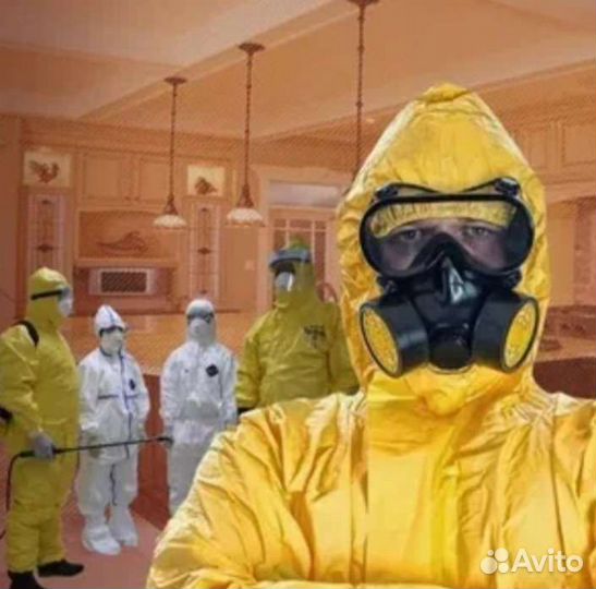 Искитим Уничтожение Клопы Тараканы