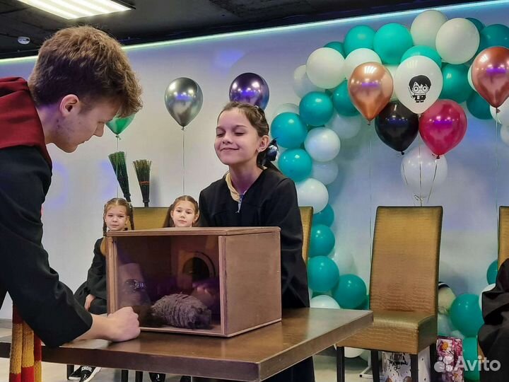 Шоу Кажется нащупал