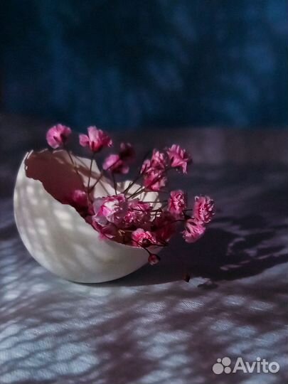 Предметный фотограф