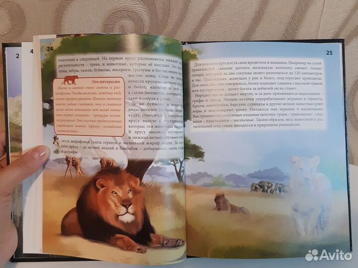 Энциклопедия Львы