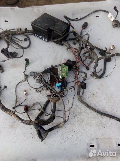 Проводка двигателя Ford Focus 2 купе qqdb 2006