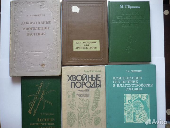 Тарасенко М.Т. Зеленое черенкование