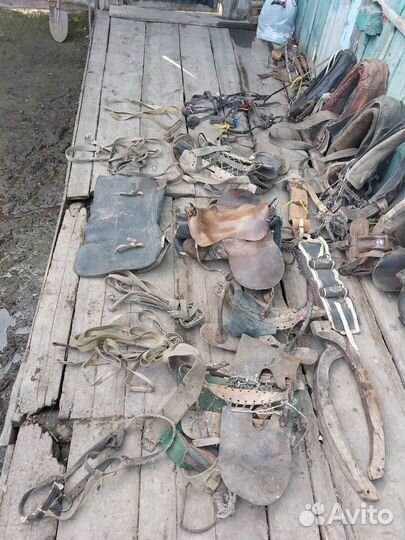 Конная амуниция