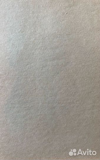 Брайнин В.Е. (1951)