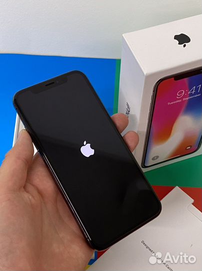 iPhone X, 256 ГБ