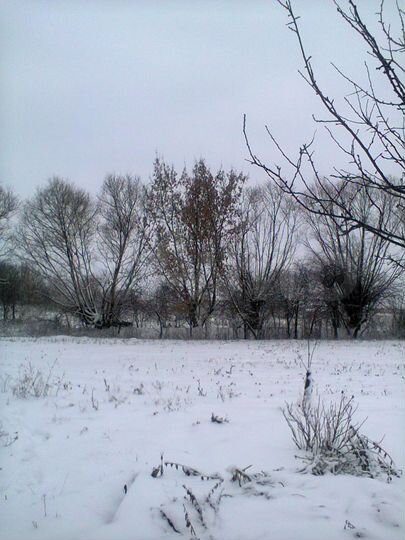 Дача 65,1 м² на участке 40 сот.