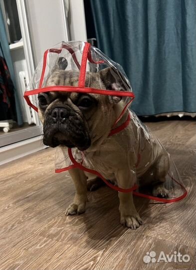 Дождевик для собак М(25)