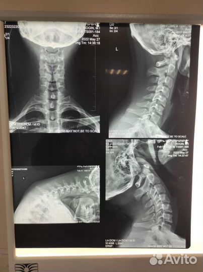 Мануальный терапевт