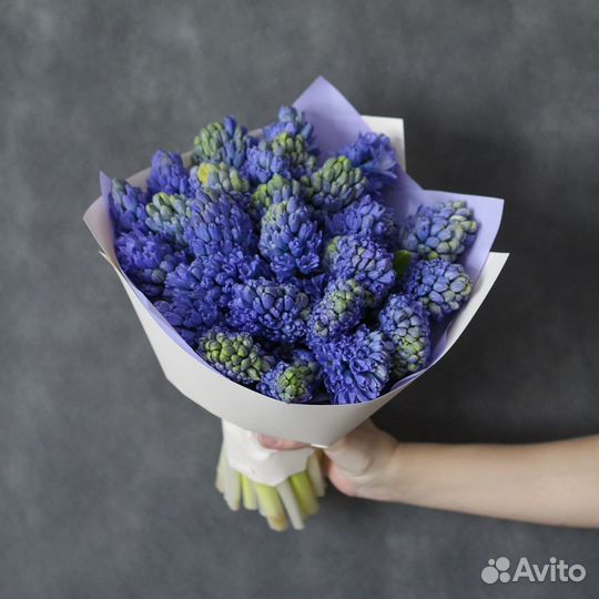 Букет 246 Гиацинты синие 31 шт