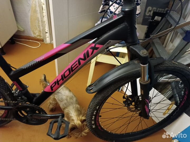 Велосипед горный бу Бронь до 18:00