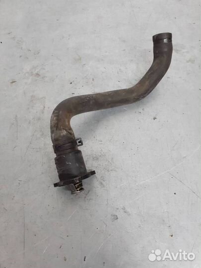 Термостат Renault Kangoo рест. 2005 8200244237