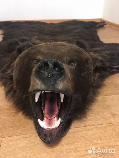 Шкура медведя имитация