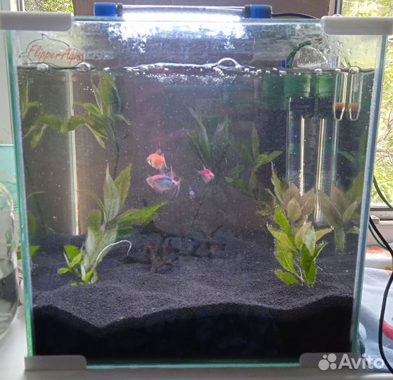 Аквариум