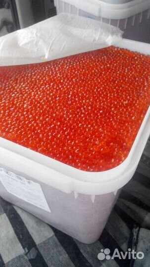 Красная икра горбуши высшего качества путина 2023